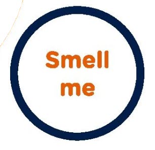 Scratch n Sniff