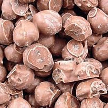 chewing nuts