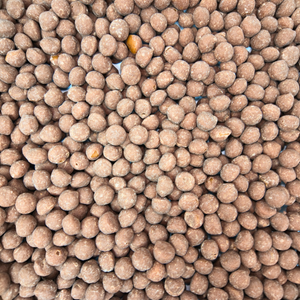 Chewing Nuts