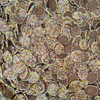 Jazzies (Brown Gems)