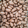 Milk Chocolate Brazil Nuts