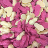 Large Pink and White Mice