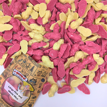 Large Pink and White Mice