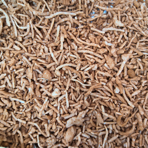 Spanish Gold Sweet Tobacco