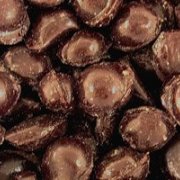 Hand Made Cinnamon Balls