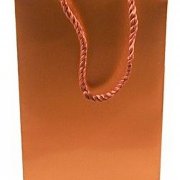 Large Gift Bag (Empty)