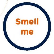 Scratch n Sniff Scratch n Sniff
