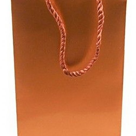 Large Gift Bag (Empty) Large Gift Bag (Empty)