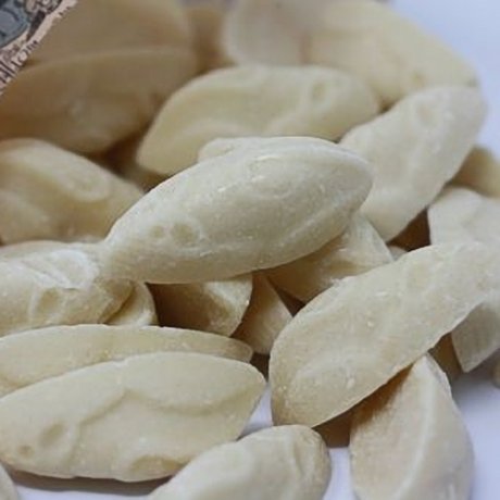 White Mice White Mice