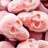 Jelly filled Skulls Jelly filled Skulls