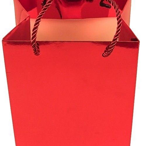 Image of Small Gift Bag (Empty)