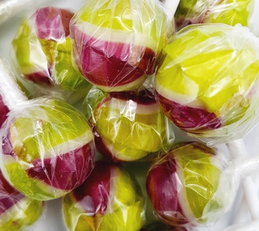 Watermelon and Mixed Berry Taste Twist Lollies